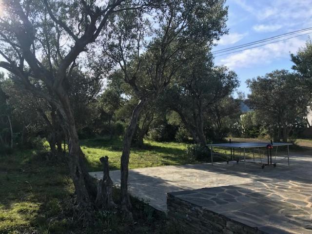 Maison De Pecheur Superbe Vue Mer, Grand Jardin Cadaqués Eksteriør billede