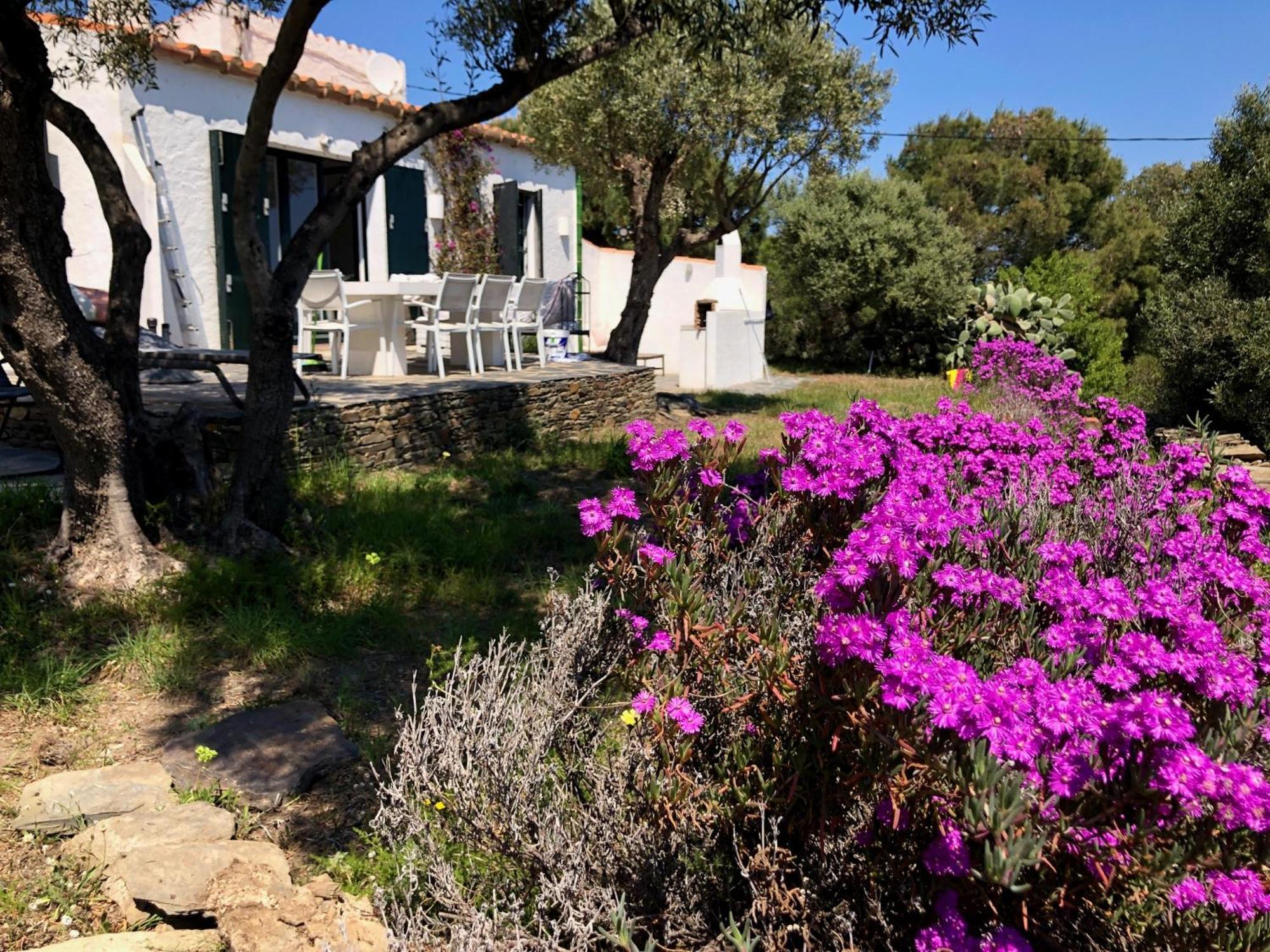 Maison De Pecheur Superbe Vue Mer, Grand Jardin Cadaqués Eksteriør billede